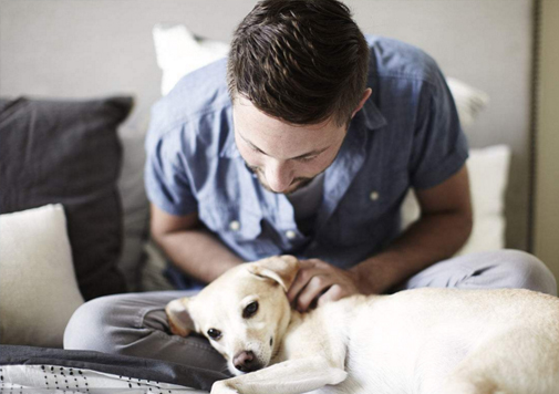 專(zhuān)業(yè)殺跳騷服務(wù)